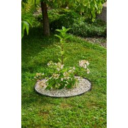 Nortene BORDER FLEXI 78