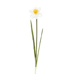 N&aacute;rcisz műn&ouml;v&eacute;ny 62 cm