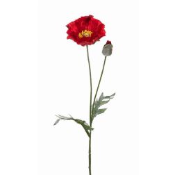 Pipacs műn&ouml;v&eacute;ny 67 cm