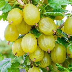 ,