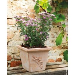 Deroma Quadro Olive agyag kocka kaspó 25 cm
