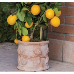 Terracotte Italia Cilindro Limoni agyagcserép 18X16 cm