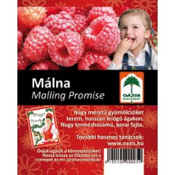 Malling promise