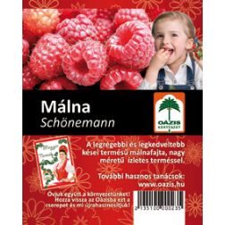 Schönemann