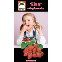 Elan