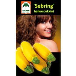 Sebring