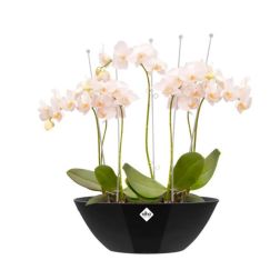 Elho Brussels Diamond Oval 46 cm Metallic Bl, műanyag tál