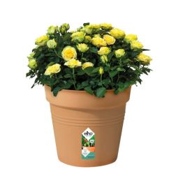 Elho Green Basics Growpot 40 cm Mild Terra, műanyag kaspó