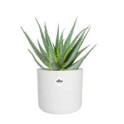 Elho B For Soft Round Fehér műanyag növénytartó 18 cm