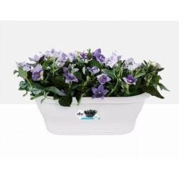 Elho Corsica Wall Basket 39 cm White, műanyag kaspó
