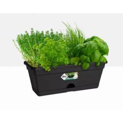 Elho Green Basics Trough Mini Living Black műanyag balkonláda 30 cm