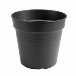 Elho Green Basics Growpot 30 cm Living Black műanyag kaspó