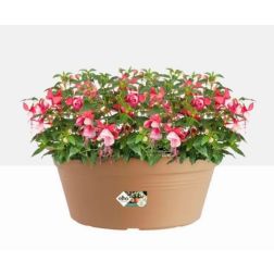 Elho Green Basics Bowl Mild Terra műanyag növénytartó 38 cm