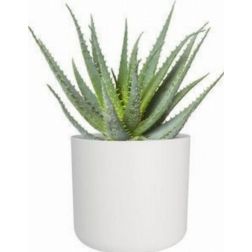 Elho B For Soft Round Fehér műanyag növénytartó 25 cm