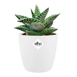Elho Brussels Round Mini 7 cm White műanyag kaspó