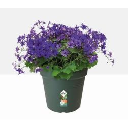 Elho Green Basics Growpot 15 cm Leaf Green műanyag kaspó