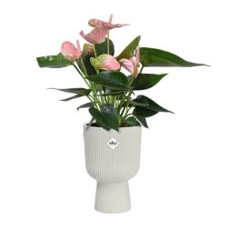 Elho Vibes Fold Coupe műanyag ültetőtál fehér 14 cm
