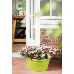 Elho Corsica Door Stopper Lime Green