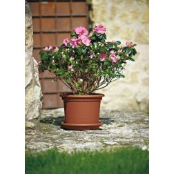 EURO 3 PLAST Geo Terracotta műanyag növénytartó 60 cm