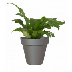 Artevasi Capri Anthracite műanyag növénytartó 60 cm