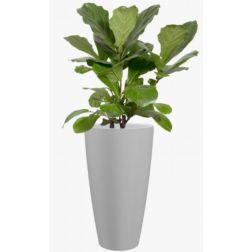 Artevasi Havana Natural High Granite műanyag növénytartó 70 cm