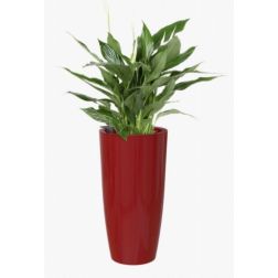 Artevasi Santorini 33/65 cm Self Water Dark red önöntöző műanyag kaspó