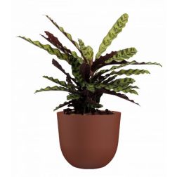 Artevasi Havana Natural Brown Terracotta műanyag növénytartó 40 cm
