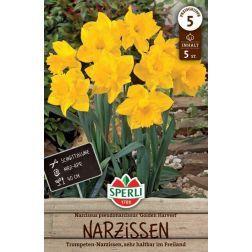 Sperli Narcissus Golden Harvest n&aacute;rcisz vir&aacute;ghagyma 5 db