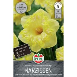 Sperli Narcissus Snowtip n&aacute;rcisz vir&aacute;ghagyma 5 db
