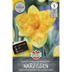Sperli Narcissus Blazing Starlet n&aacute;rcisz vir&aacute;ghagyma 5 db
