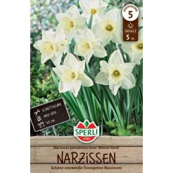 Sperli Narcissus Mount Hood n&aacute;rcisz vir&aacute;ghagyma 5 db