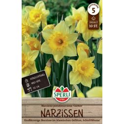 Sperli Narcissus Carlton n&aacute;rcisz vir&aacute;ghagyma 10 db