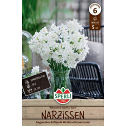 Sperli Narcissus Ziva n&aacute;rcisz vir&aacute;ghagyma 5 db