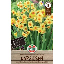 Sperli Narcissus Poetaz Scarlet Gem n&aacute;rcisz vir&aacute;ghagyma 5 db