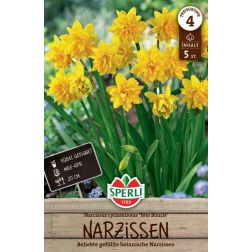 Sperli Narcissus T&ecirc;te Boucl&eacute; n&aacute;rcisz vir&aacute;ghagyma 5 db