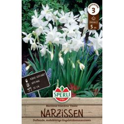 Sperli Narcissus Thalia n&aacute;rcisz vir&aacute;ghagyma 5 db