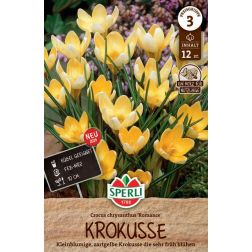 Sperli Crocus Romance kr&oacute;kusz vir&aacute;ghagyma 12 db