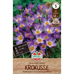 Sperli Crocus Tricolor kr&oacute;kusz vir&aacute;ghagyma 12 db