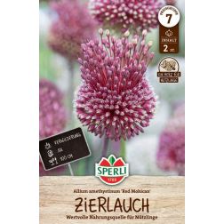 Sperli Allium Red Mohican d&iacute;szhagyma vir&aacute;ghagyma 2 db