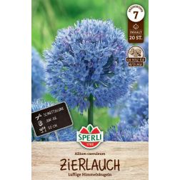 Sperli Allium caeruleum d&iacute;szhagyma vir&aacute;ghagyma 20 db