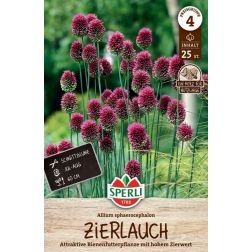 Sperli Allium sphaerocephalon d&iacute;szhagyma vir&aacute;ghagyma 25 db