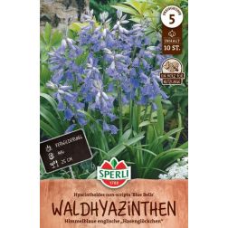 Sperli Hyacinthoides non-scripta Blue Bells kékcsengő virághagyma 10 db