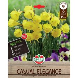 Sperli Narcissus Casual Elegance n&aacute;rcisz vir&aacute;ghagyma 15 db