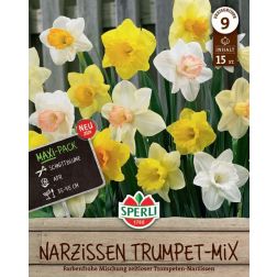 Sperli Narcissus Trompeten-Narzissen Mischung n&aacute;rcisz vir&aacute;ghagyma 15 db