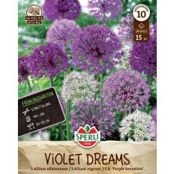 Sperli Allium Violet Dreams d&iacute;szhagyma vir&aacute;ghagyma 15 db