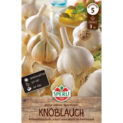 Sperli Winterpflanzknoblauch Messidrome - weiß dughagyma 3 db