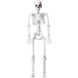 Műanyag csontv&aacute;z dekor&aacute;ci&oacute;, 90 cm