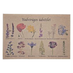 Vadvir&aacute;gos &Uuml;dv&ouml;zlet K&eacute;peslap vadvir&aacute;g vetőmagkever&eacute;k 1 gr