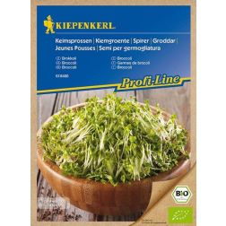 Kiepenkerl Profi-Line Bio brokkoli csíramag 20g