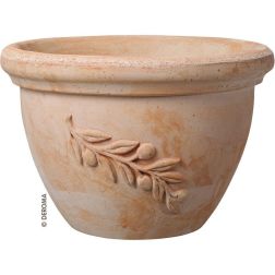 Deroma Ciotola Olive 30 Terracotta agyag cserép 30 cm